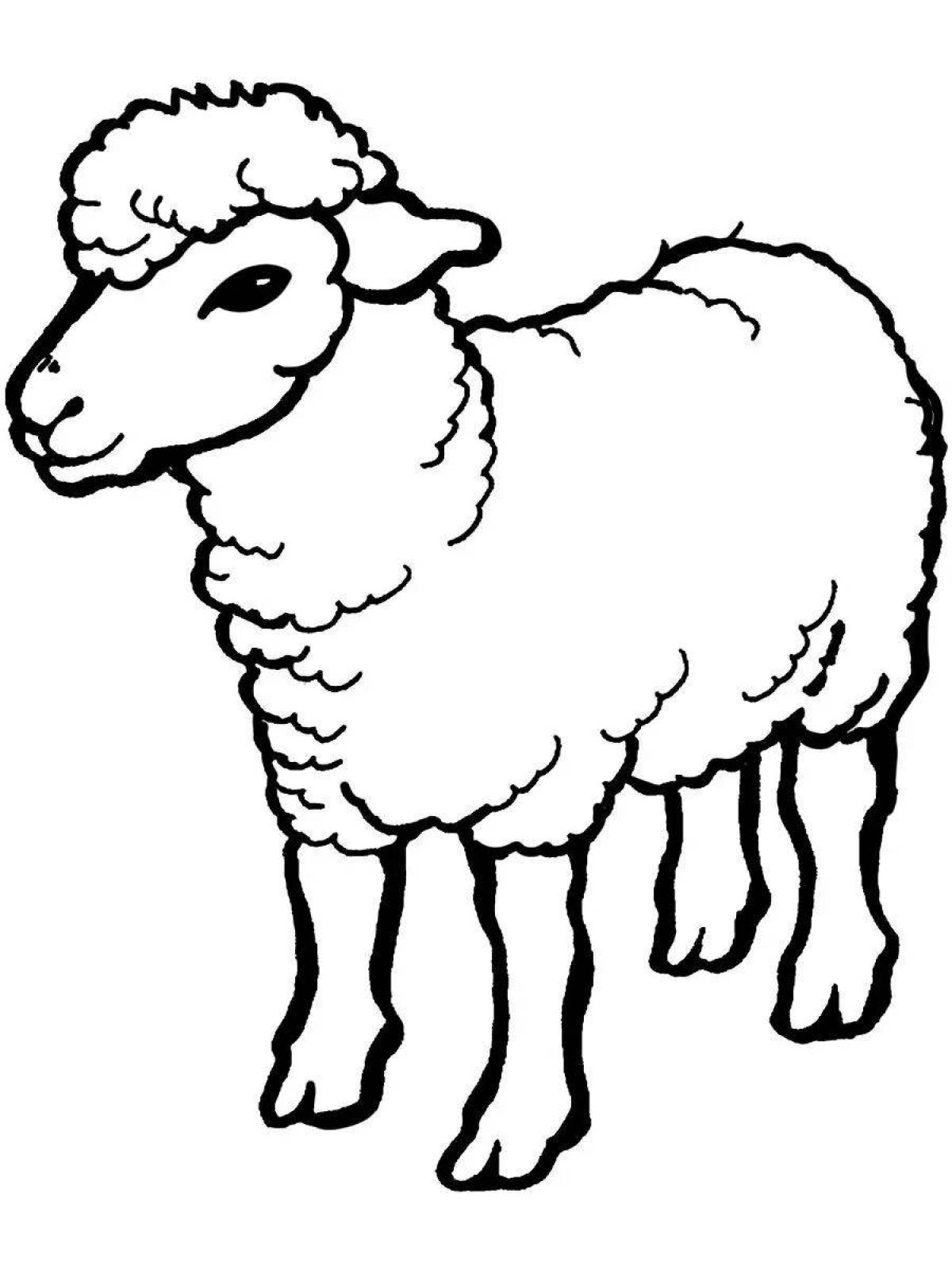 Яркая овечка-раскраска для детей