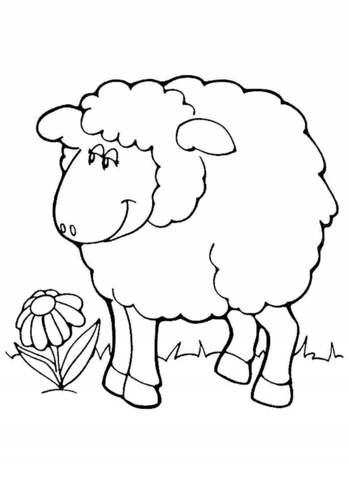 Fun coloring sheep for kids