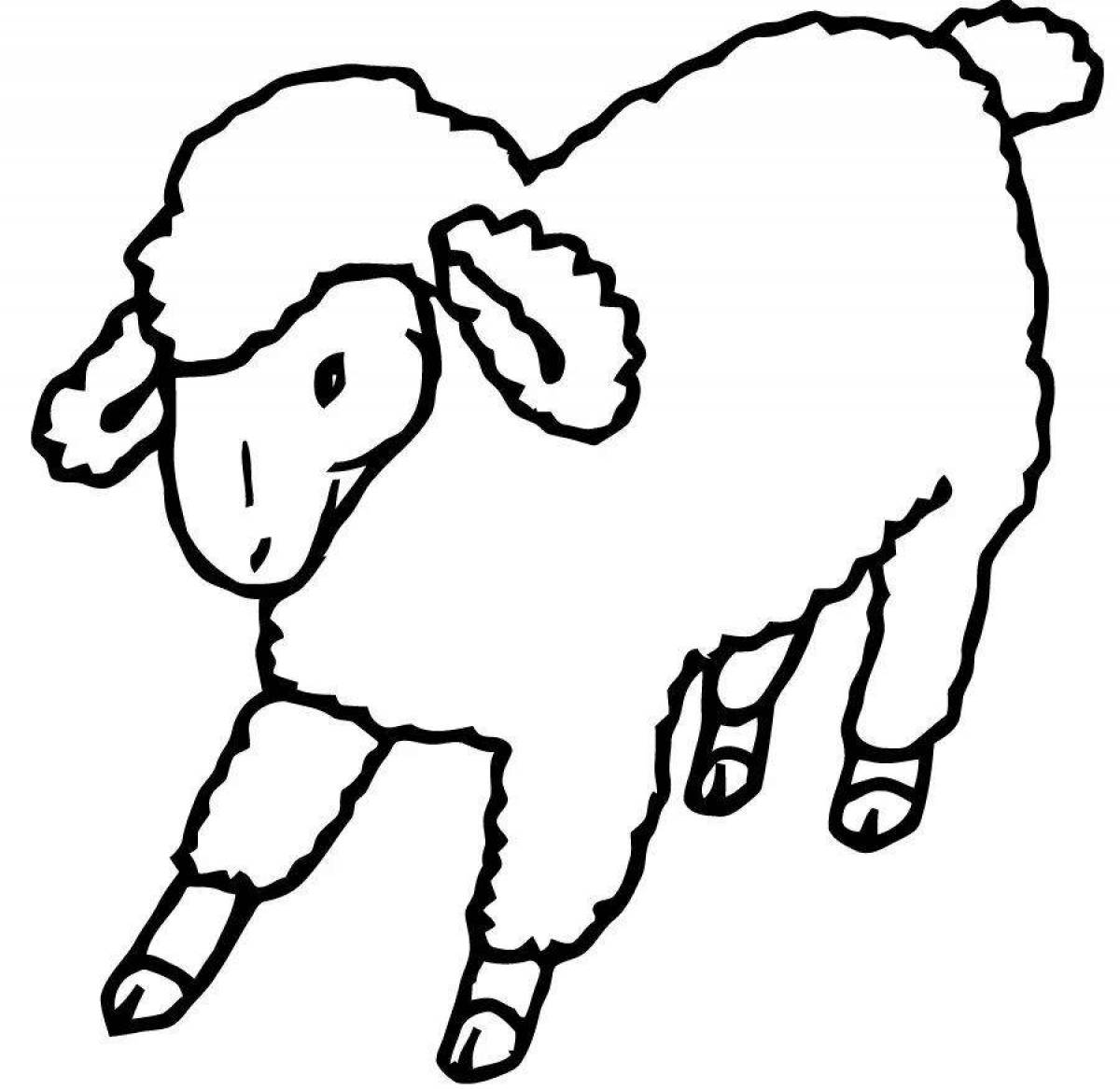 Funny sheep coloring for kids