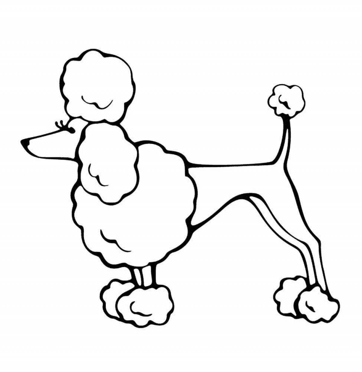 Adorable poodle coloring book for kids