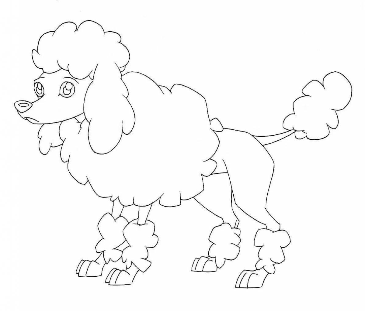 Colorful poodle coloring page for kids