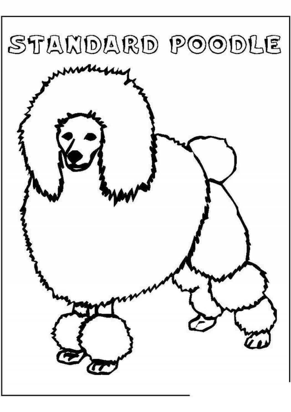 Coloring poodle for kids