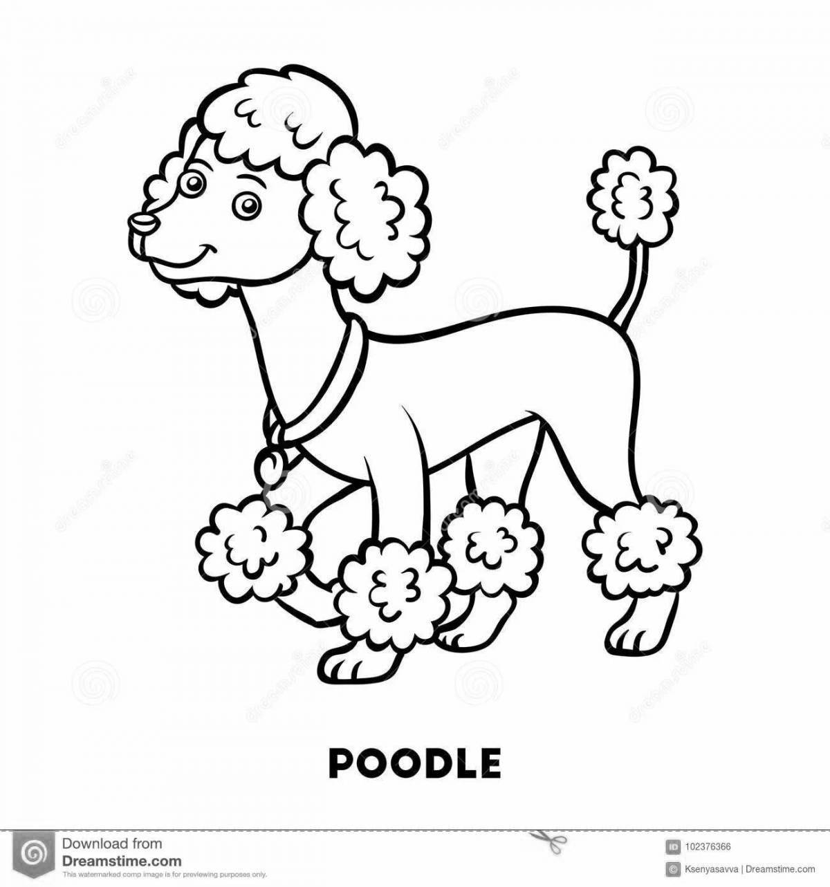 Coloring poodle for kids