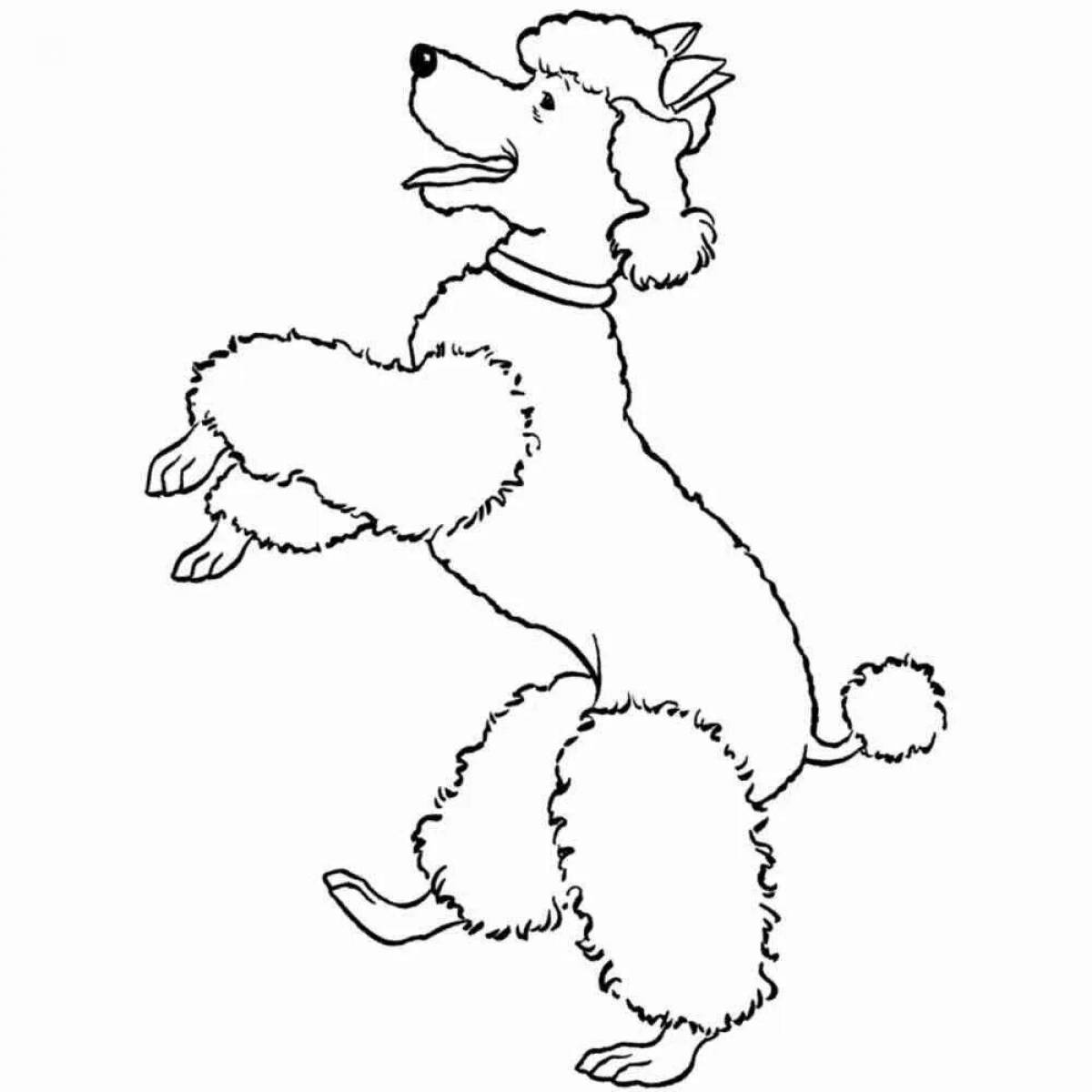 Adorable poodle coloring book for kids