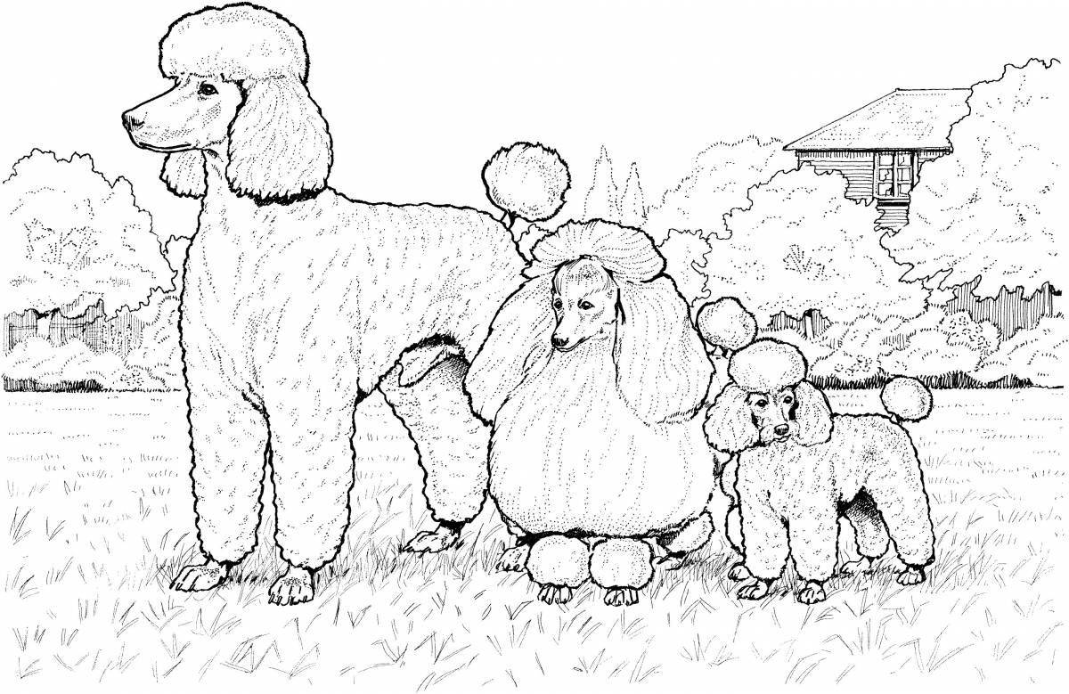 Adorable poodle coloring book for kids