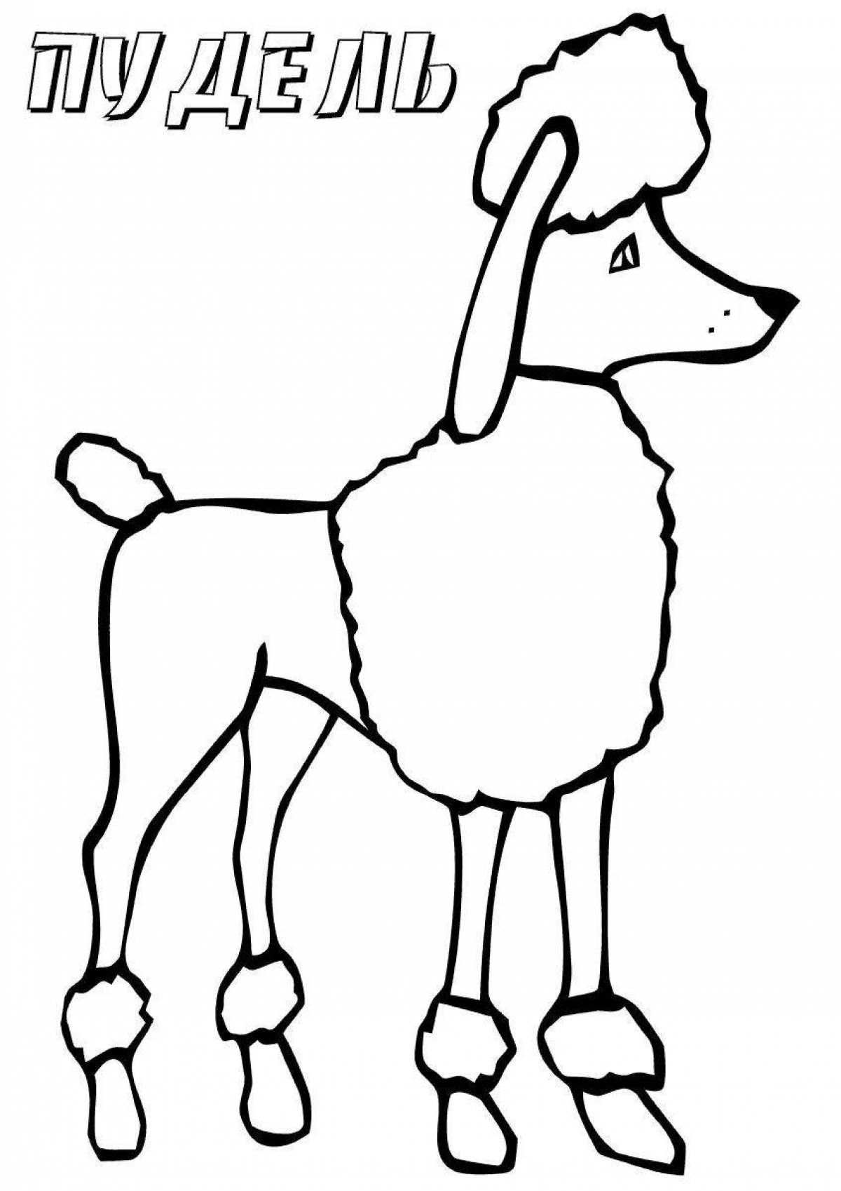 Sparkling poodle coloring page for kids