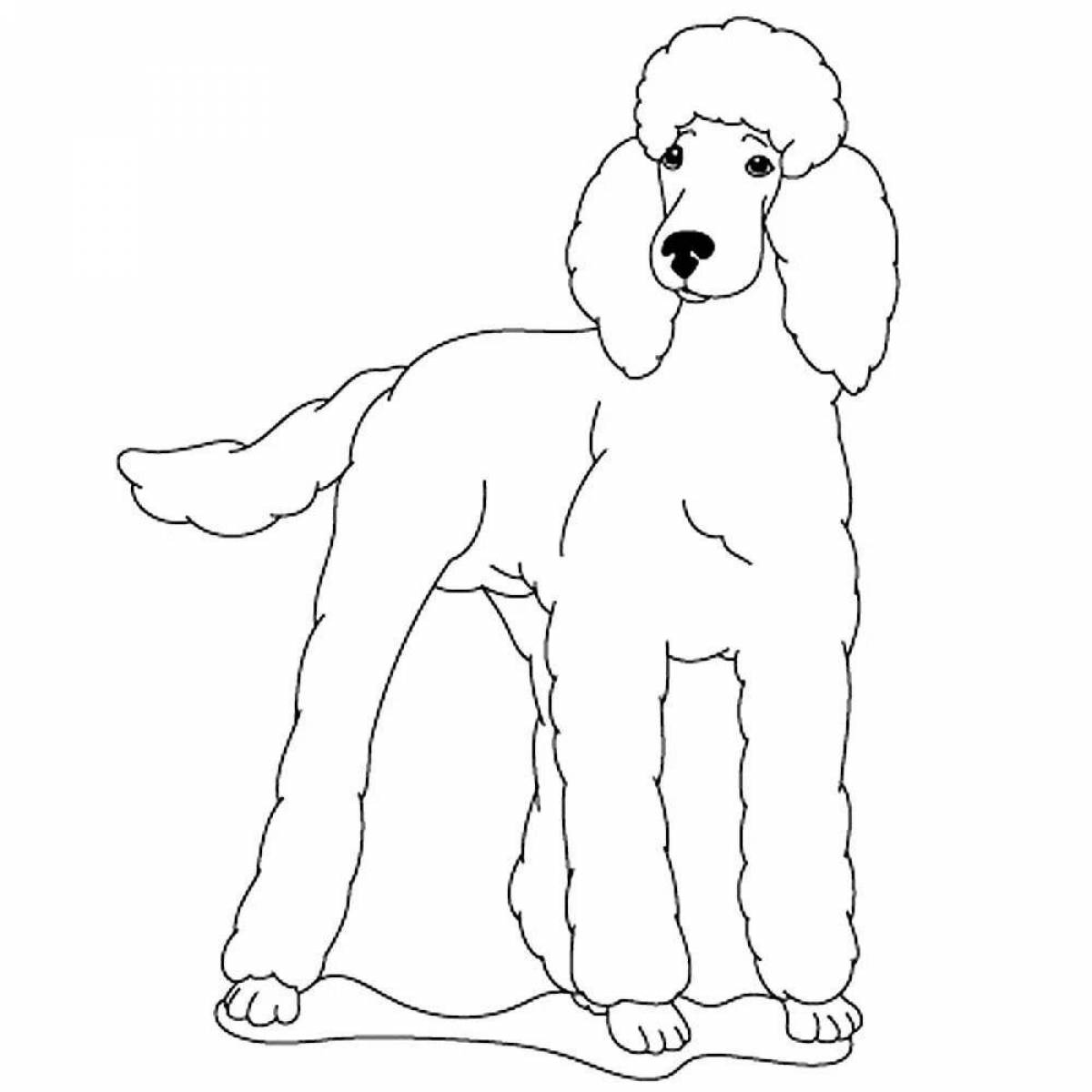 Fairy poodle coloring pages for kids