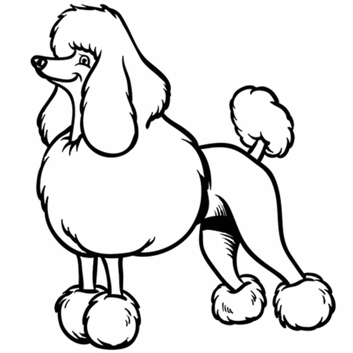 Exquisite poodle coloring book for kids
