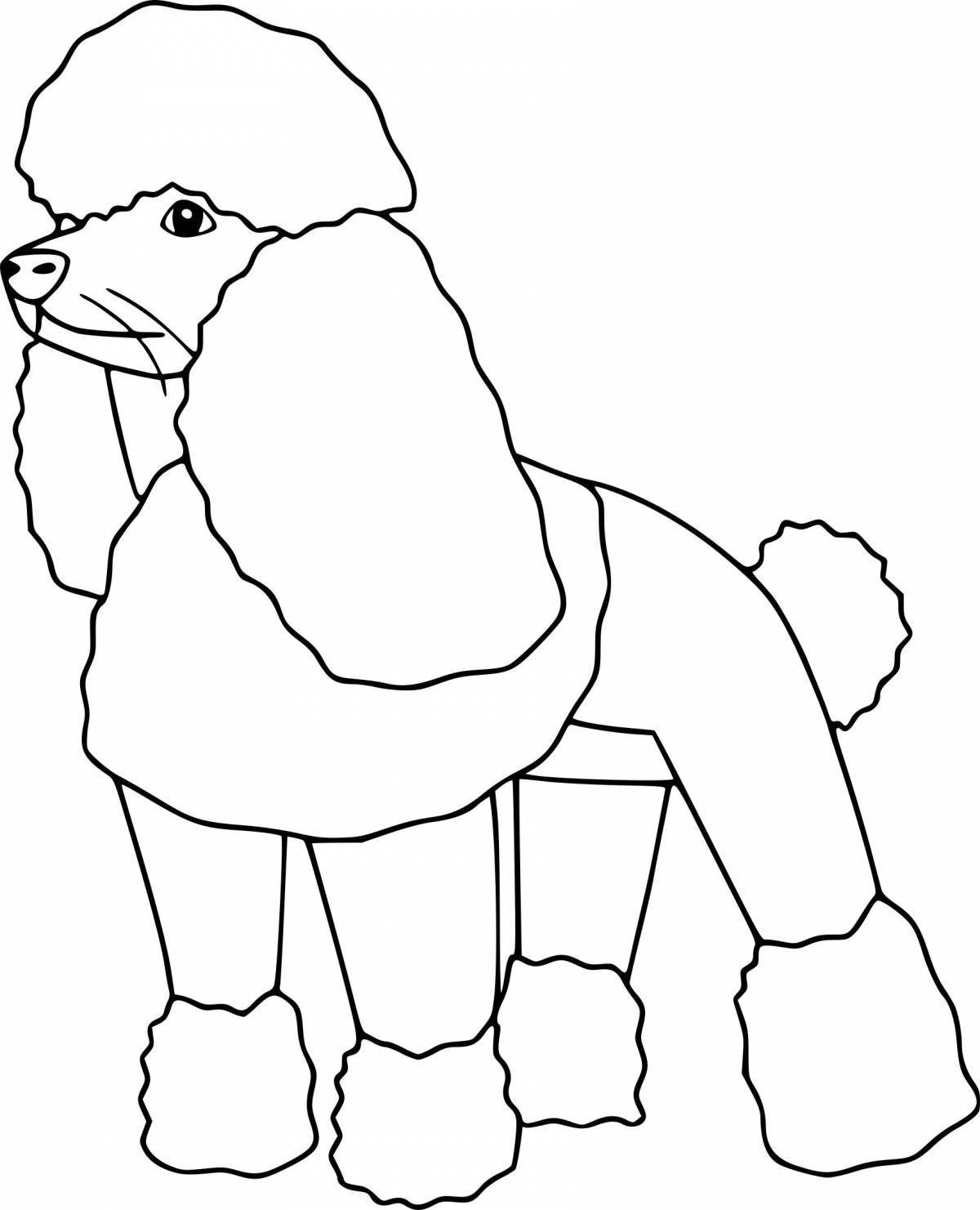 Coloring page adorable poodle for kids
