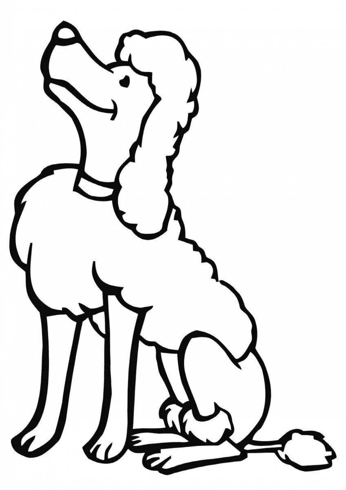 Coloring page happy poodle for kids