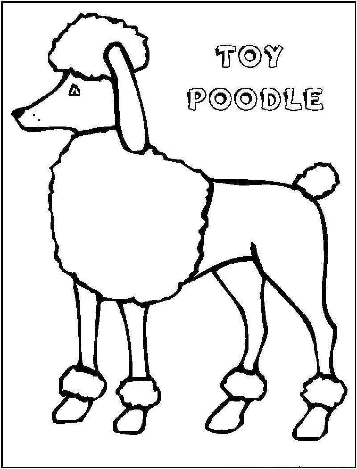 Live poodle coloring pages for kids