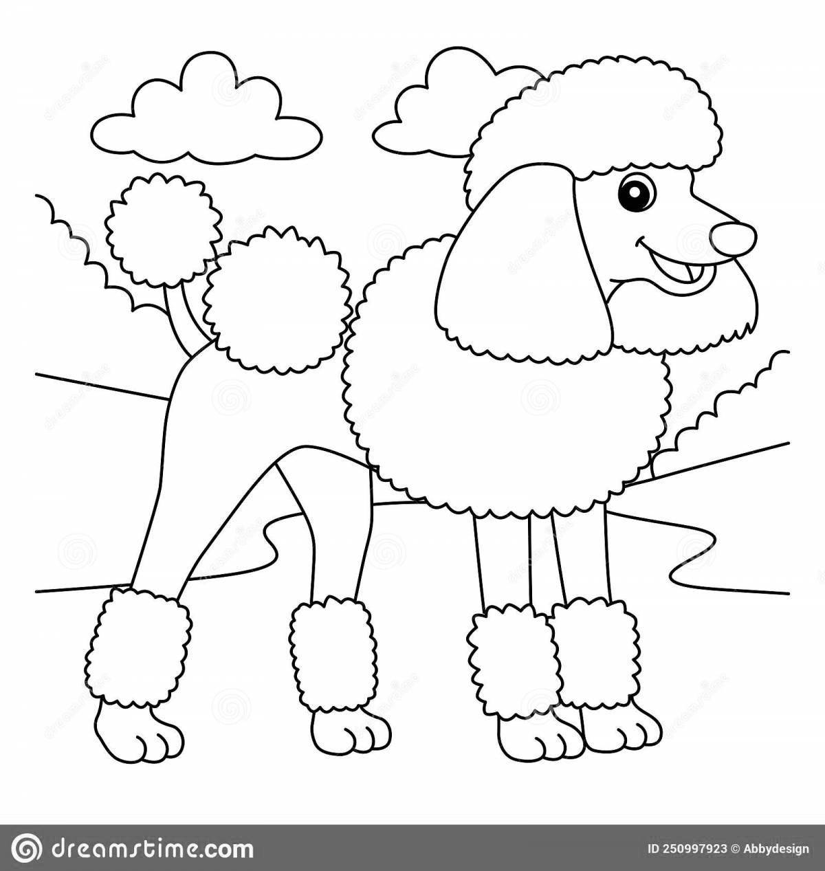 Sunny poodle coloring page for kids