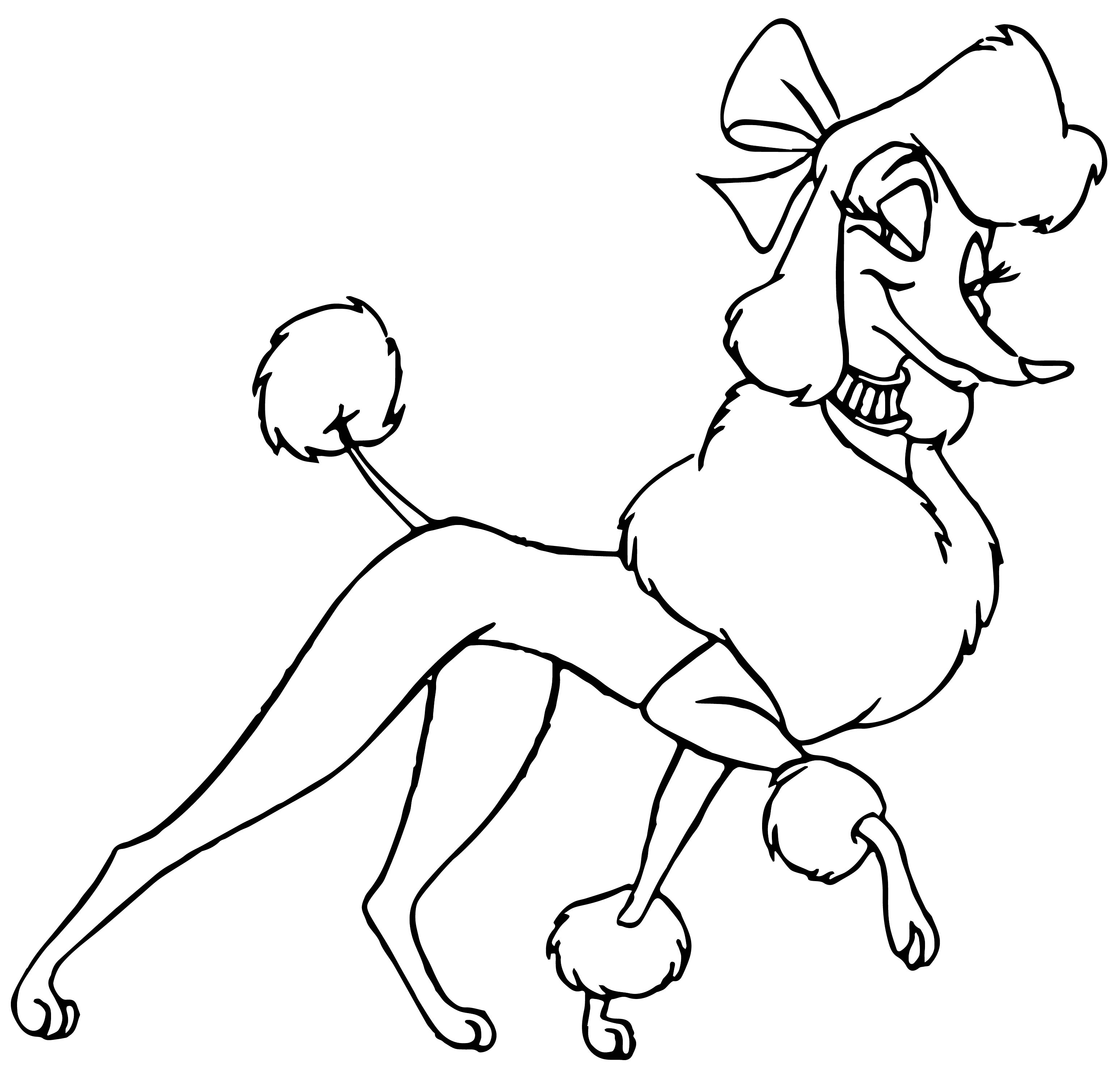 Glorious poodle coloring pages for kids