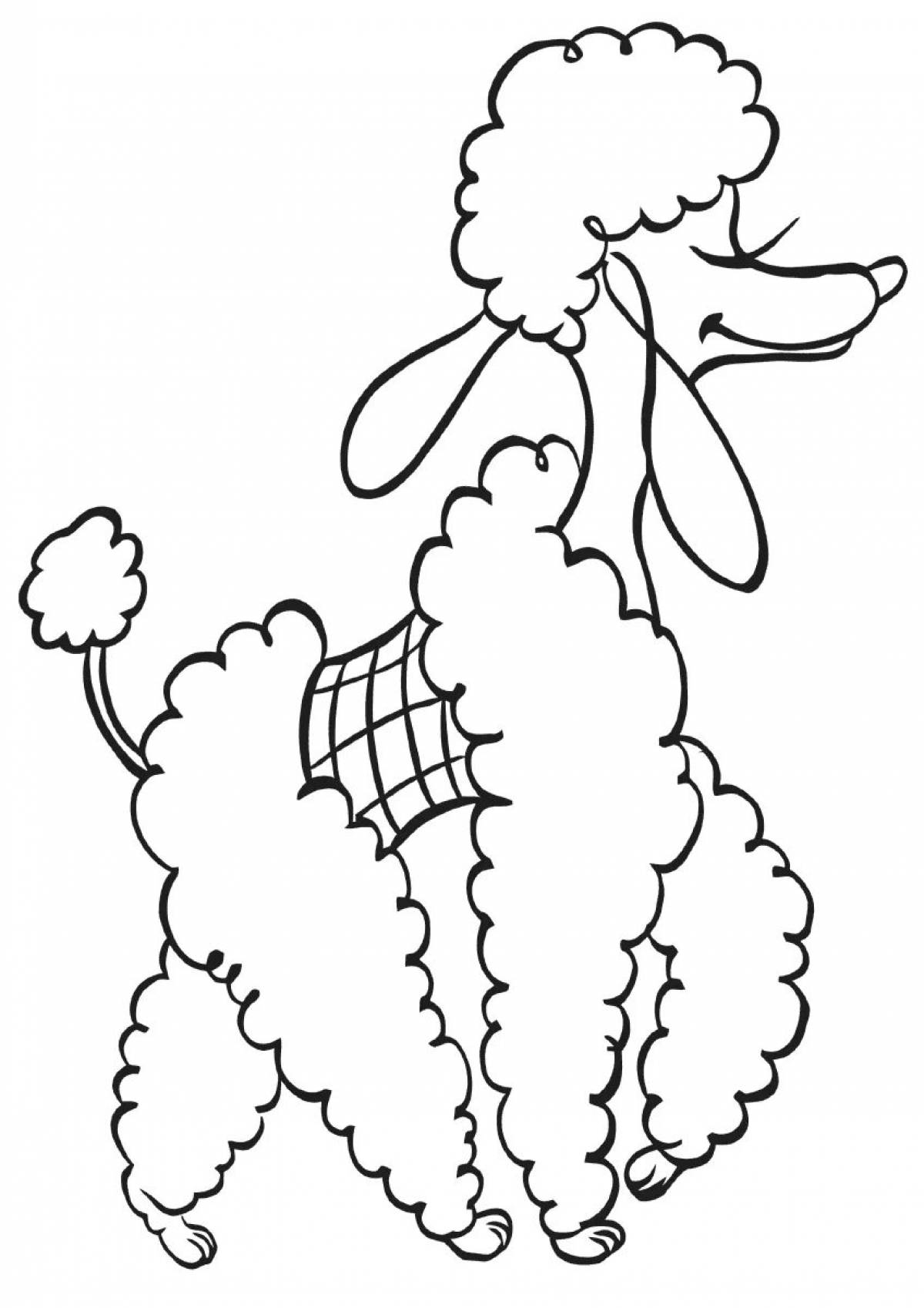 Gorgeous poodle coloring page for kids