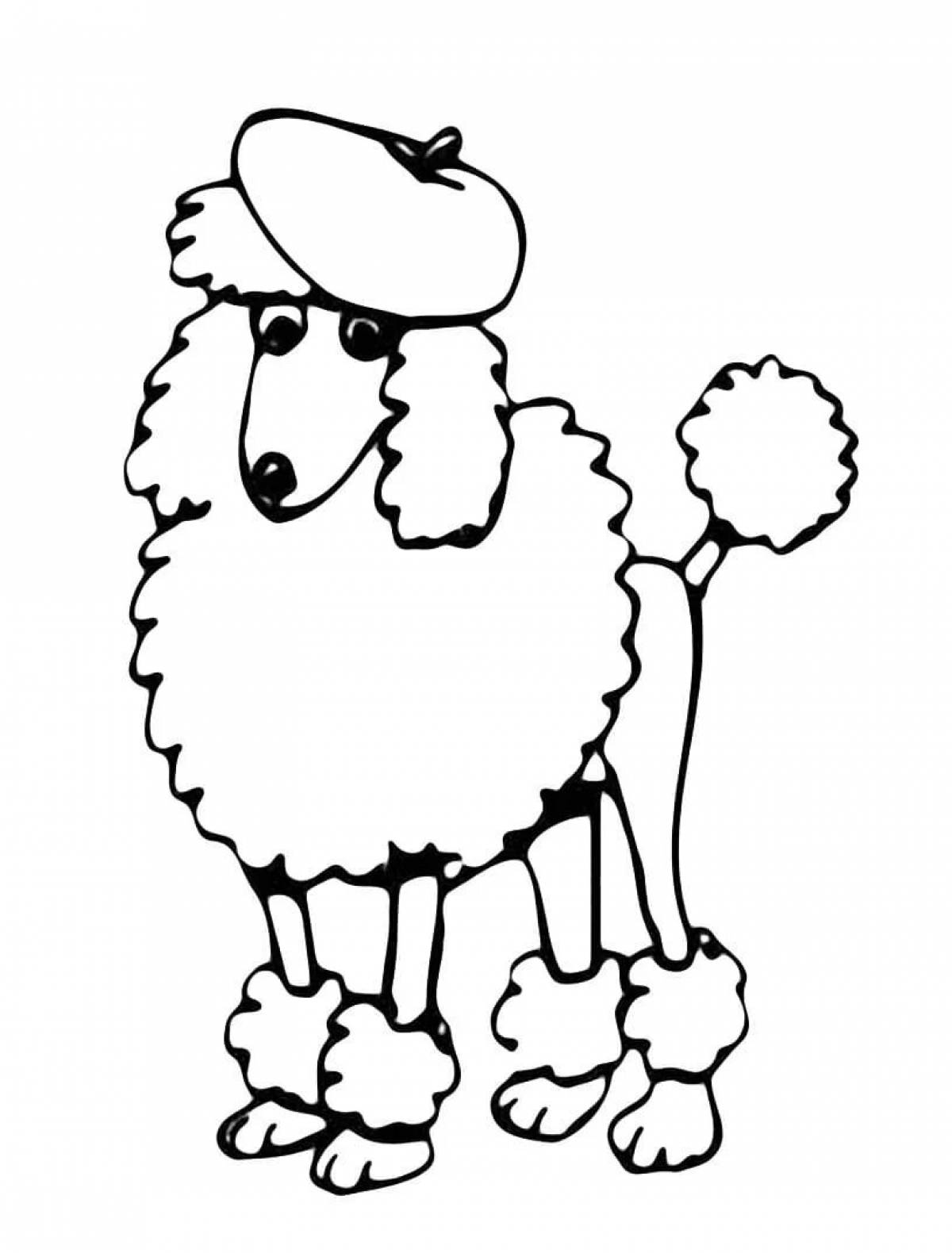 Coloring radiant poodle for children