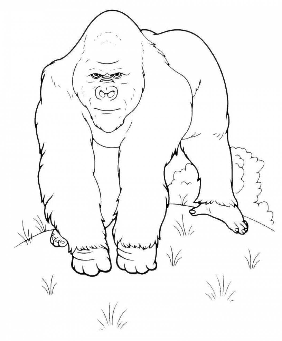 Волшебная горилла-раскраска для детей