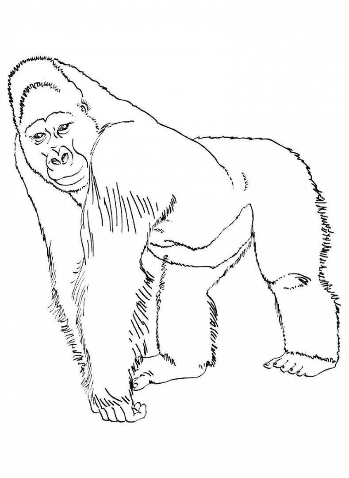 Gorilla for kids #5