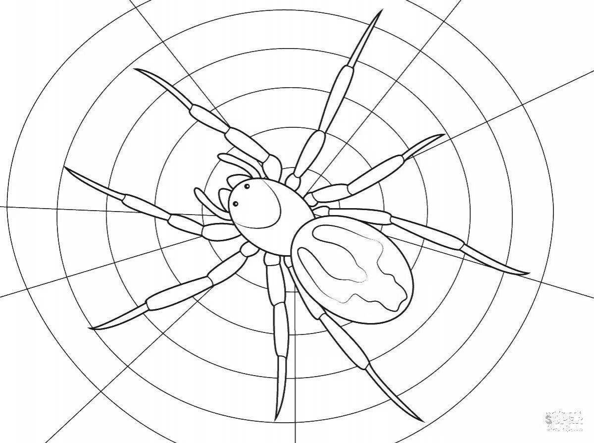 Vibrant Spider Coloring Page for Beginners