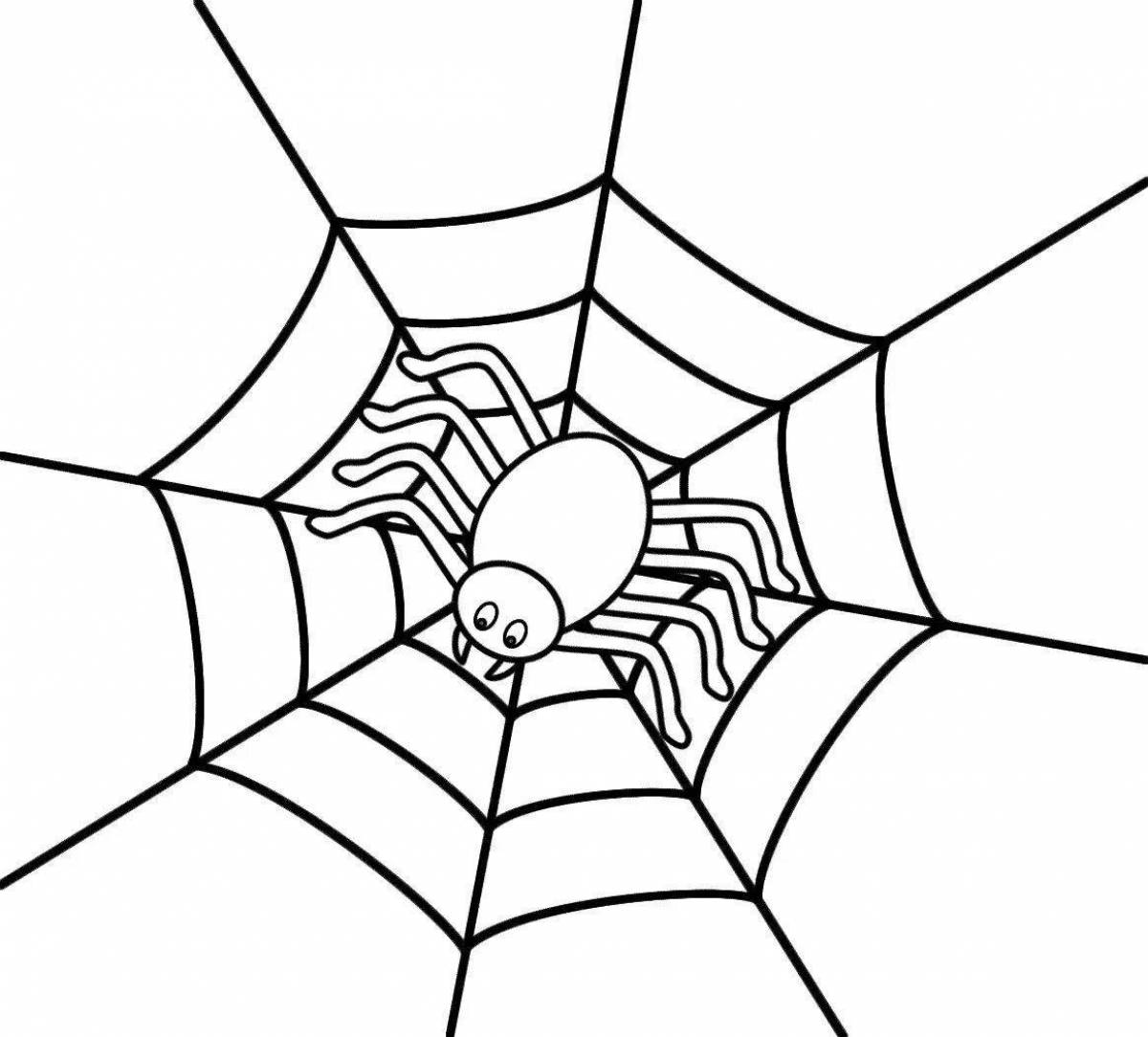 Gorgeous spider coloring for kids