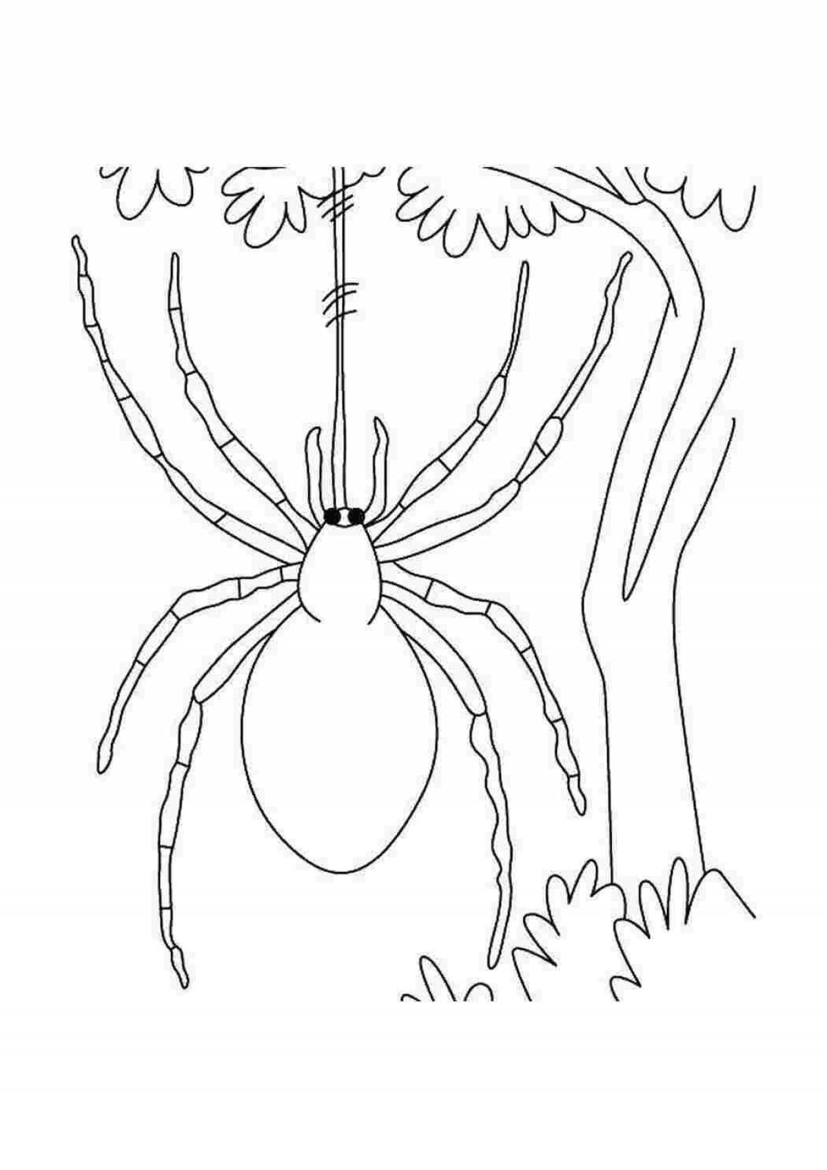 Coloring book glowing spider for students