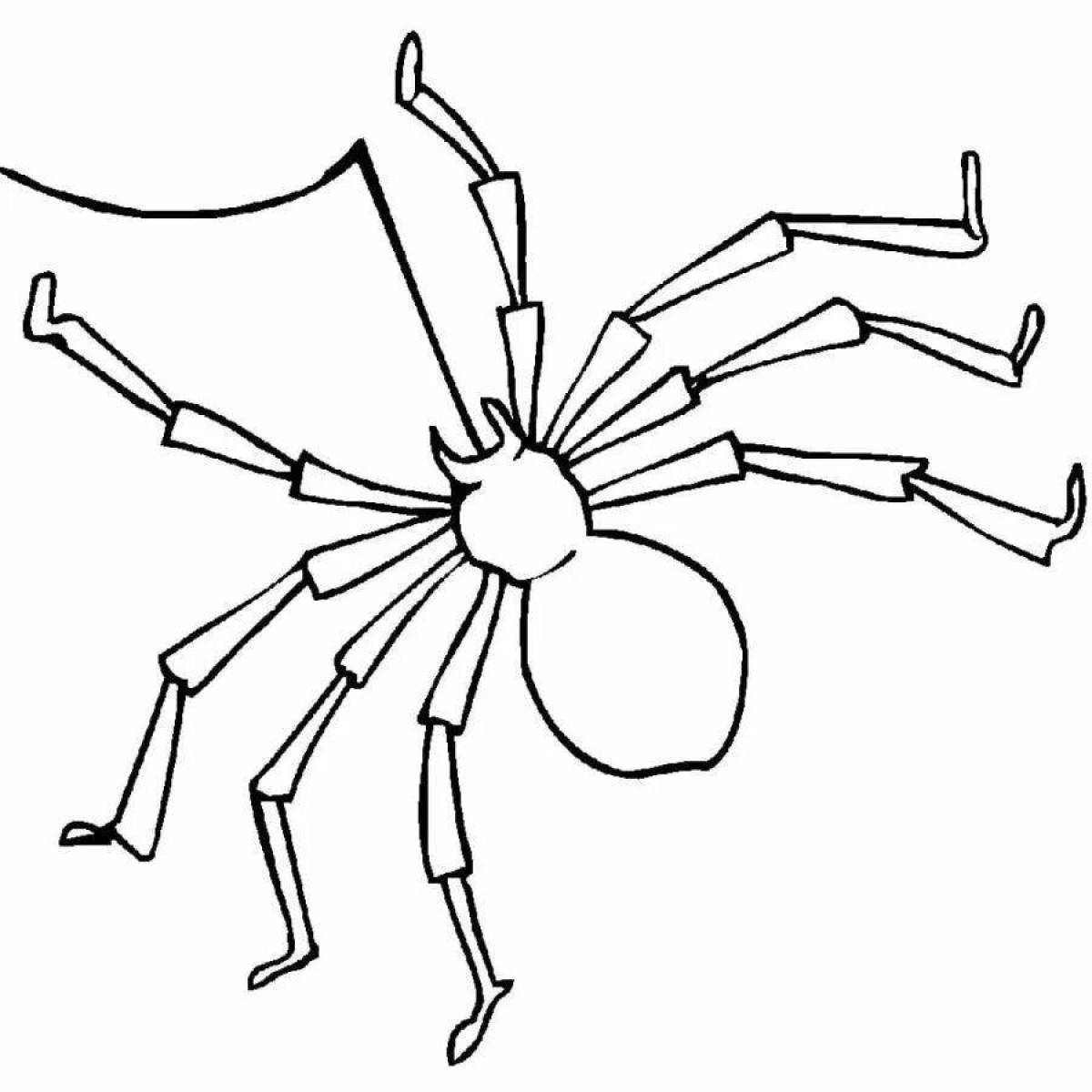 Блестящая страница раскраски пауков для учеников