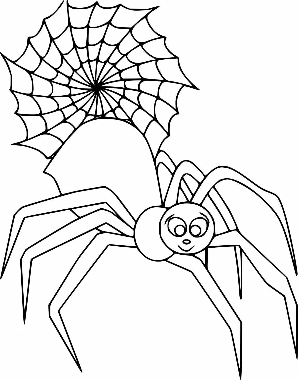 Раскраска очаровательный паук для дошкольников