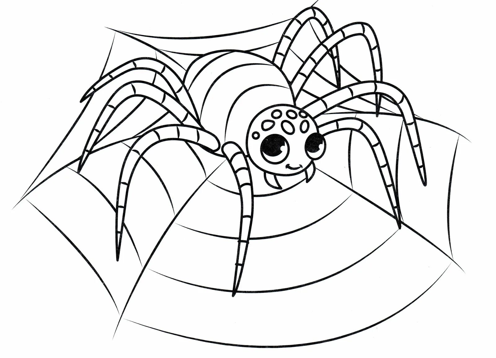 Анимированная страница раскраски пауков для юниоров
