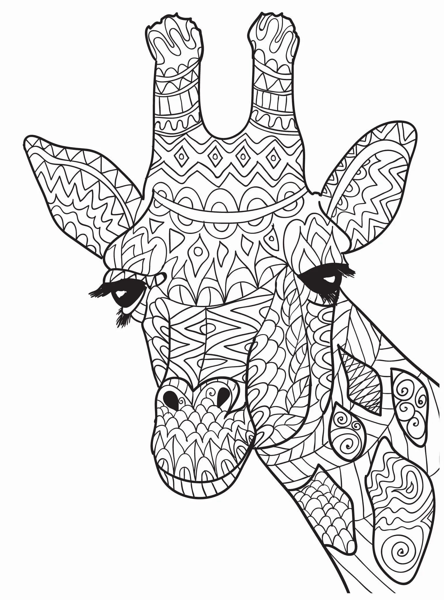 Radiant animal coloring pages for adults