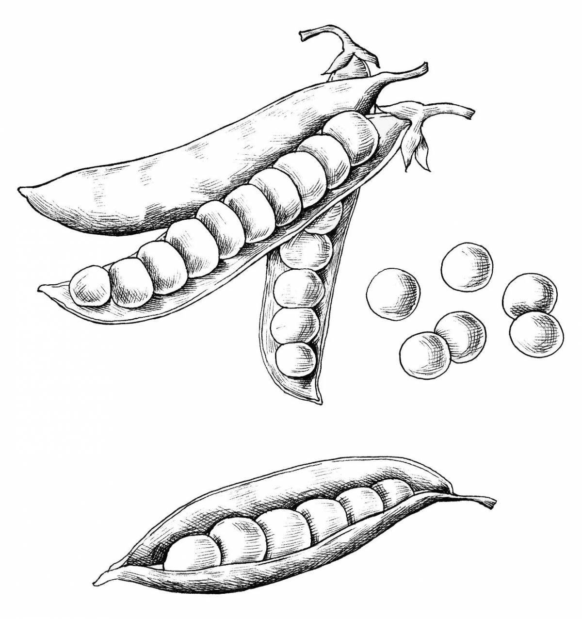 Crying pea coloring page for beginners