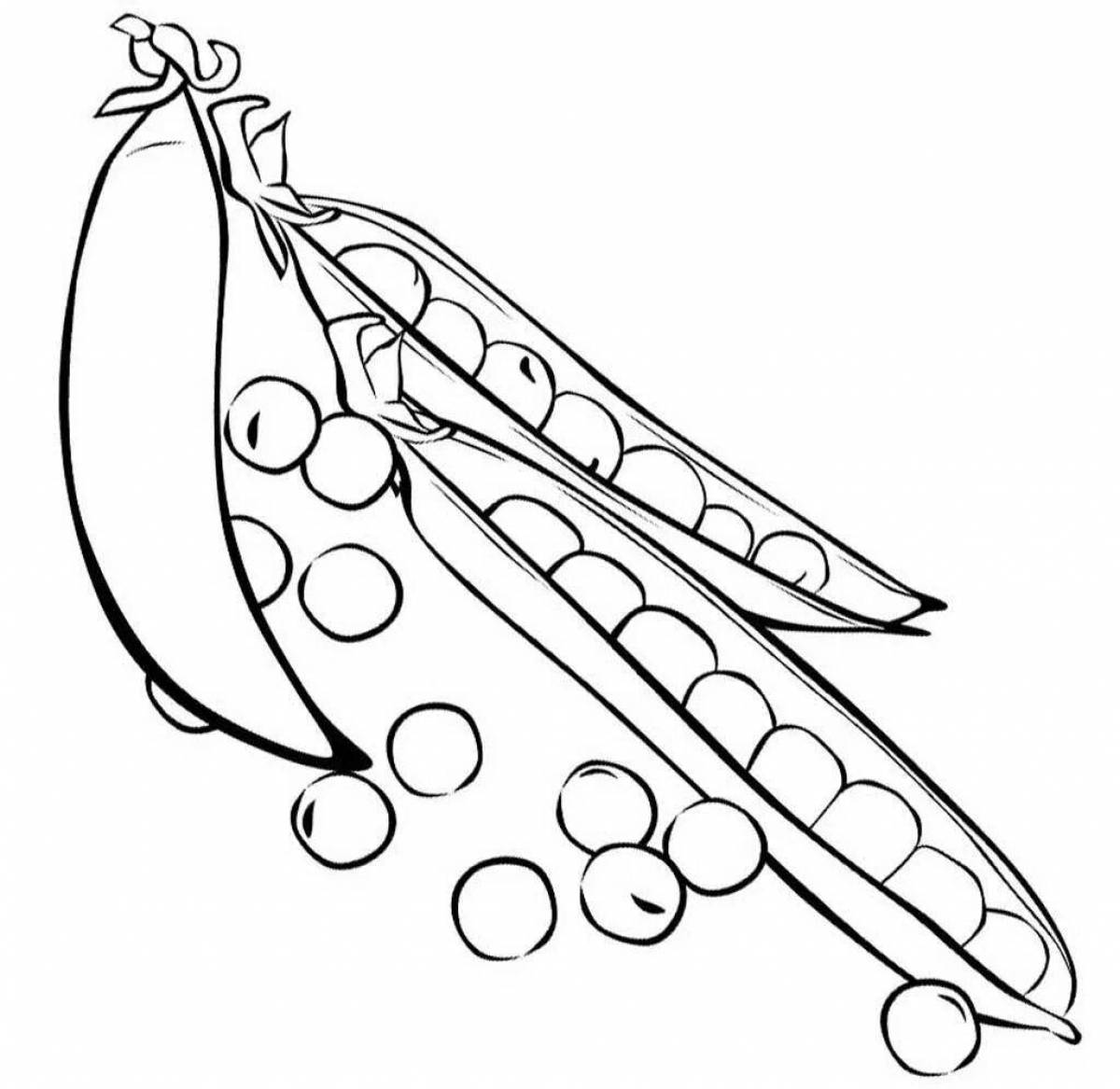 Animated pea coloring page for beginners