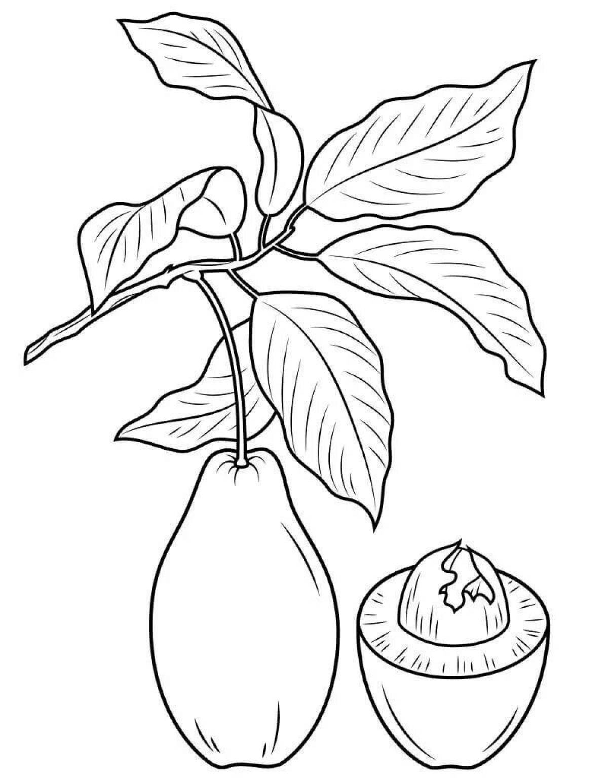 Сказочная страница раскраски авокадо для девочек