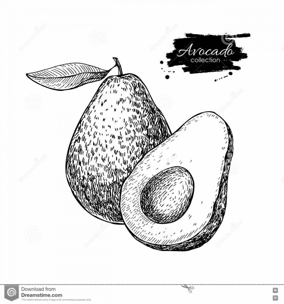 Creative avocado coloring for girls
