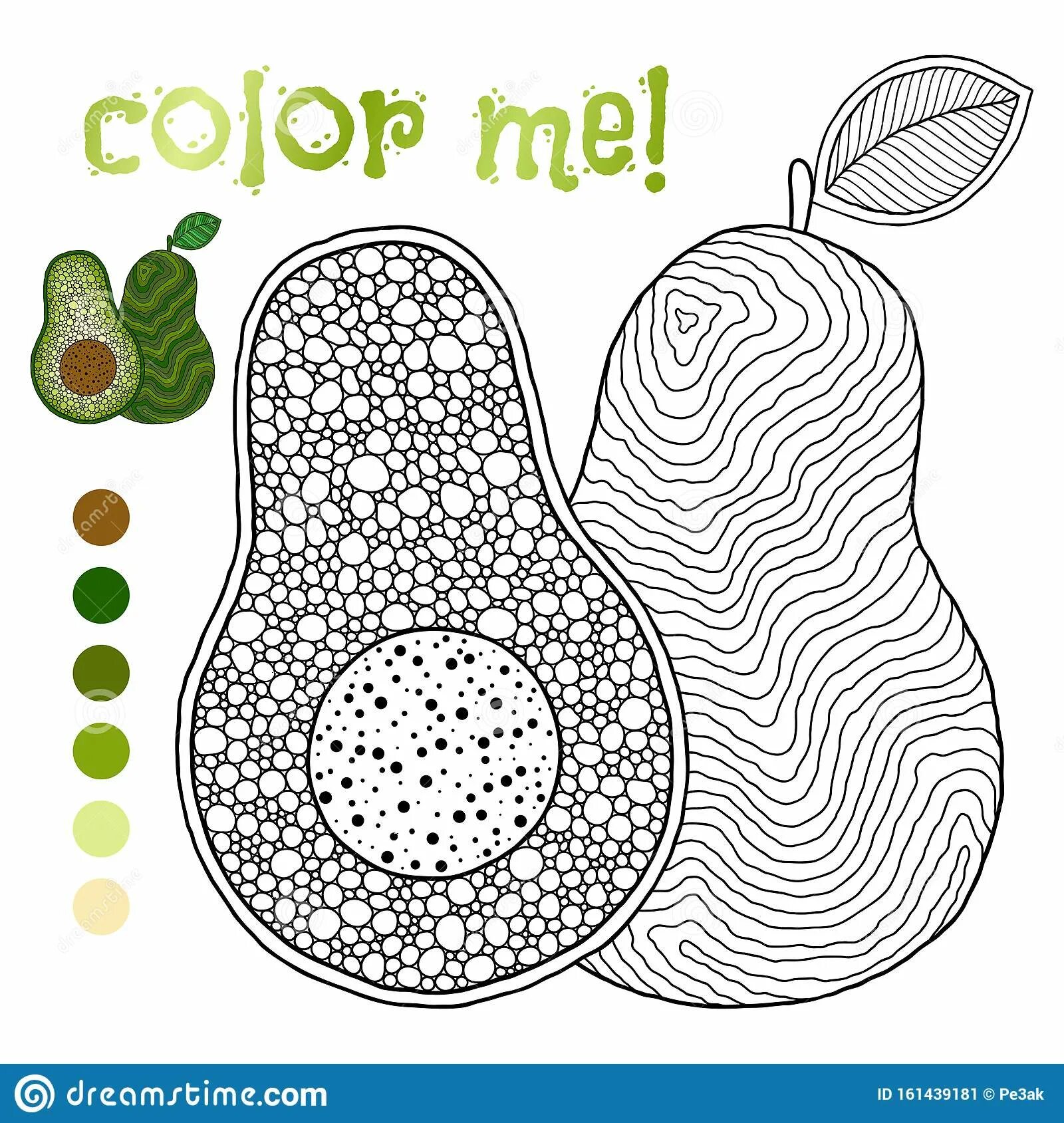 Elegant avocado coloring for girls