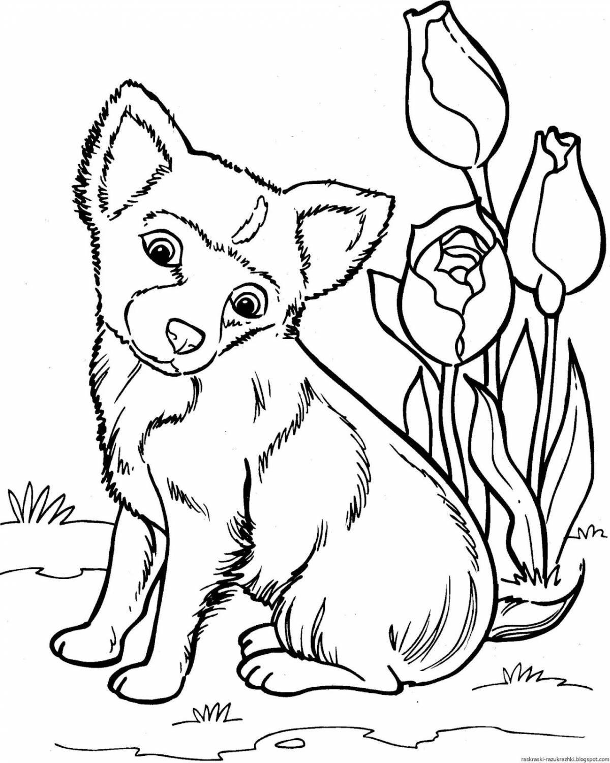 Adorable animal coloring pages for girls