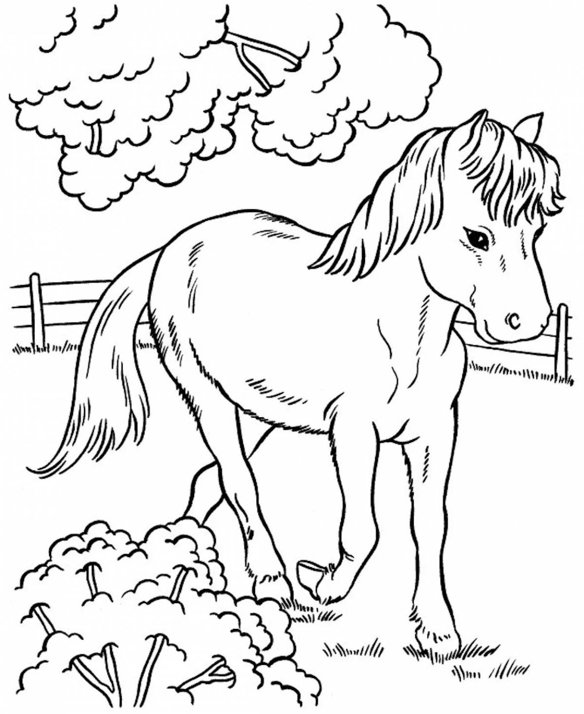 Outrageous animal coloring pages for girls