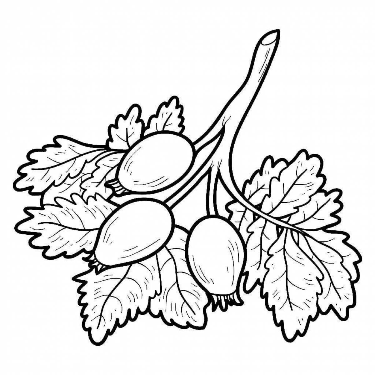 Beautiful rosehip coloring page for students