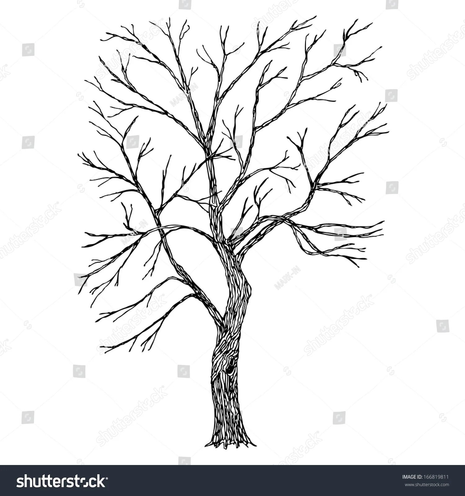 Ослепительная раскраска зимнее дерево