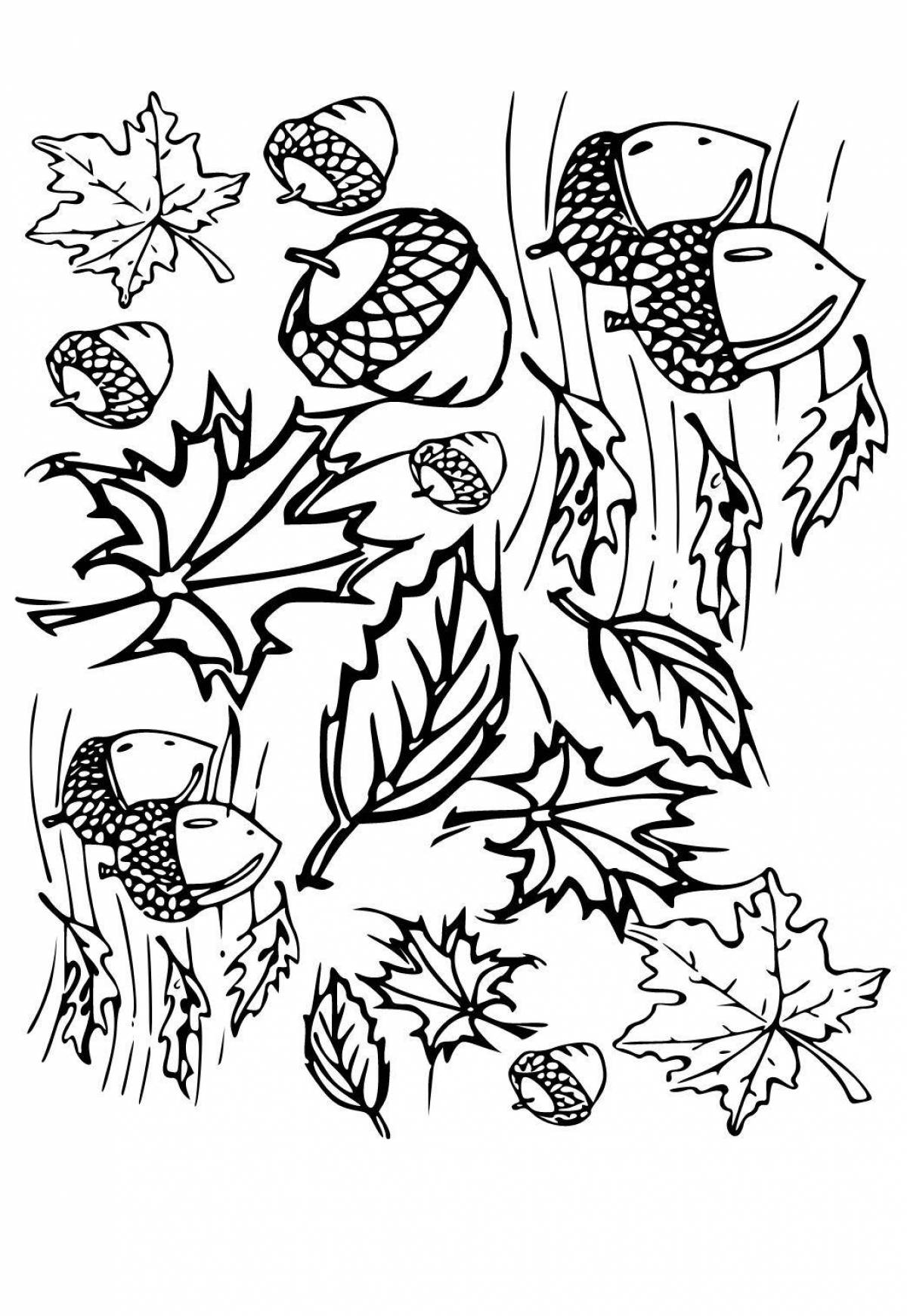 Colourful autumn coloring for children 5-6 years old