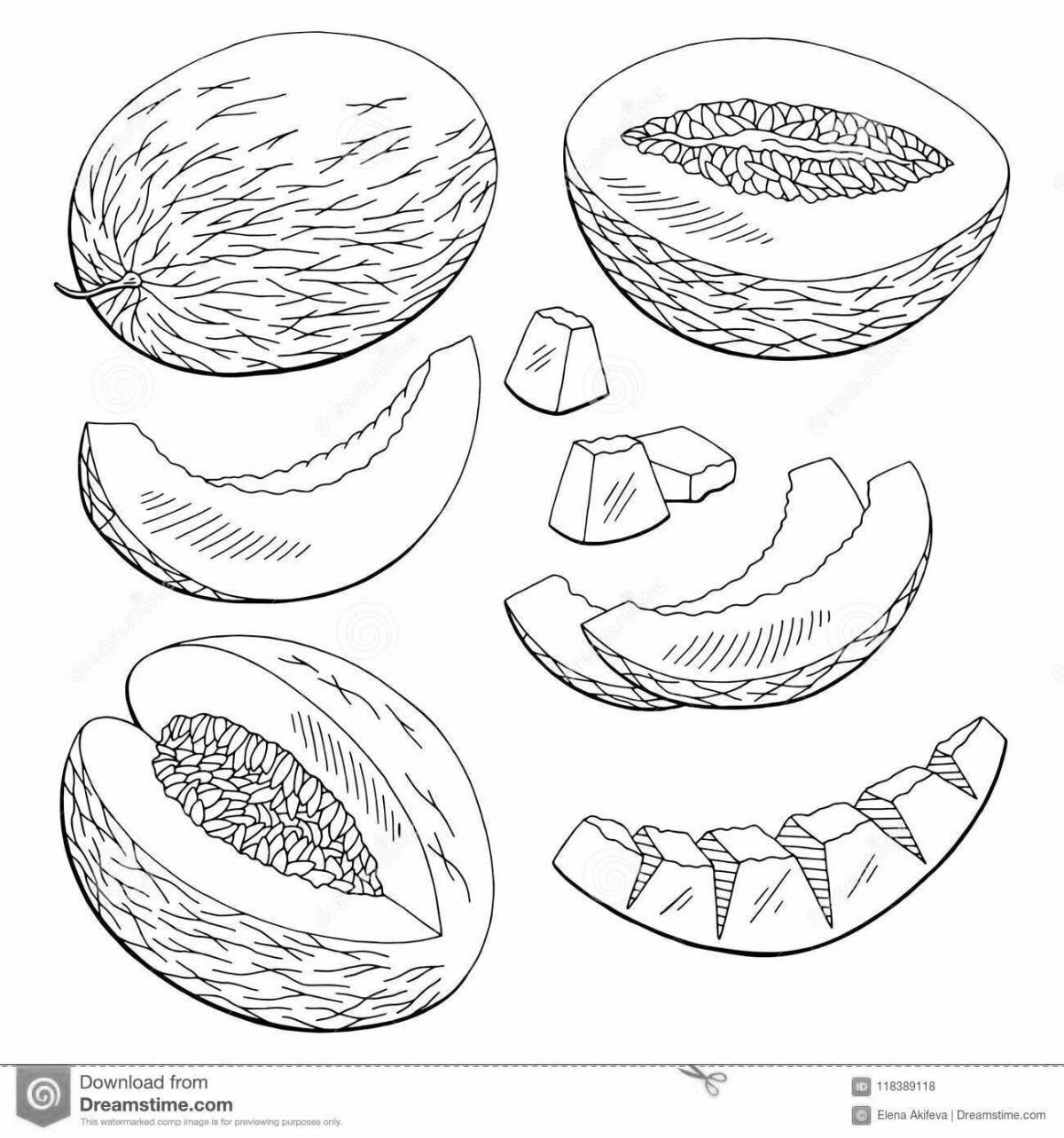 Дыня черно белая картинка для детей