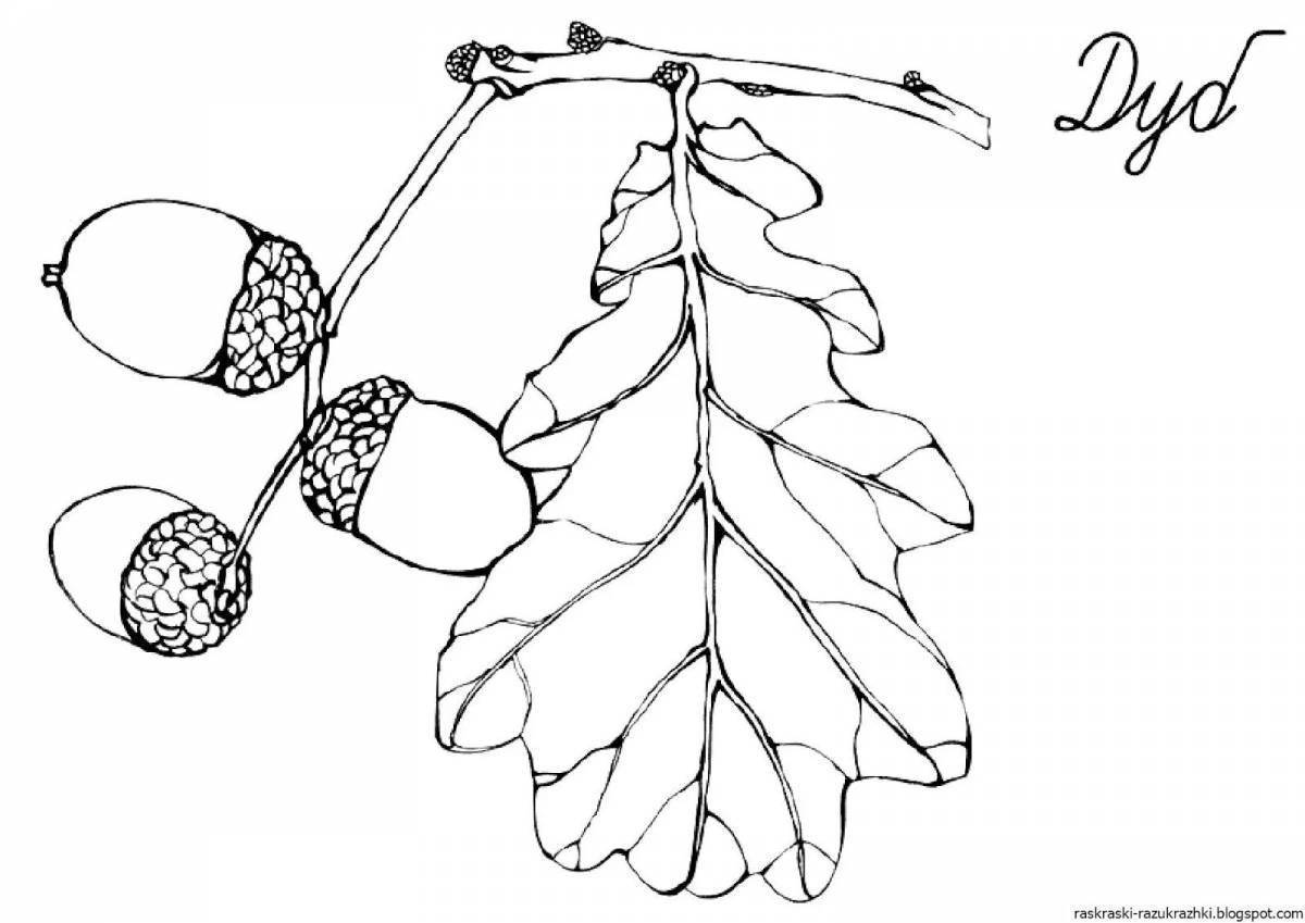 Рисунок желудя для детей карандашом