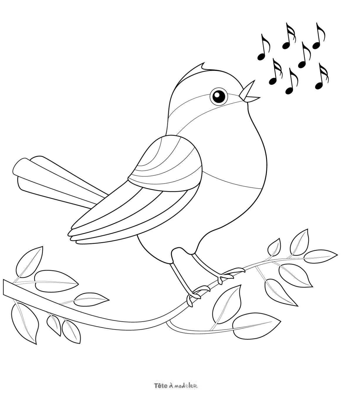 Соловей птица раскраска для детей