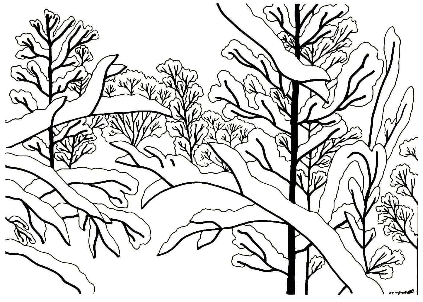Раскраска величественный зимний лес для детей 5-6 лет
