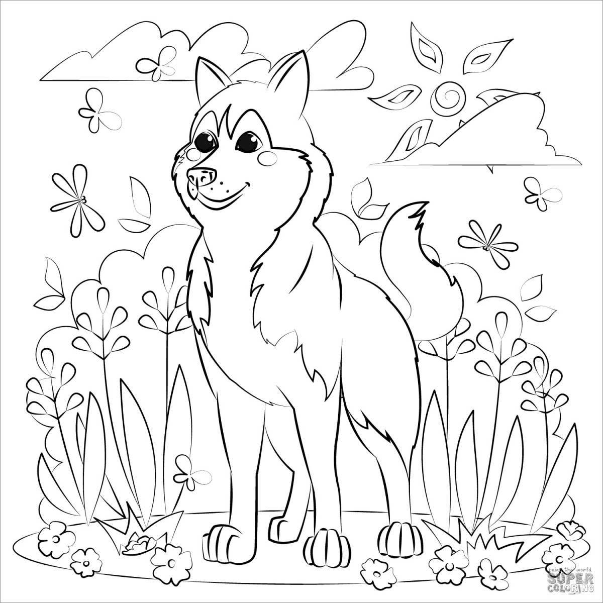 Colorful husky coloring book for kids