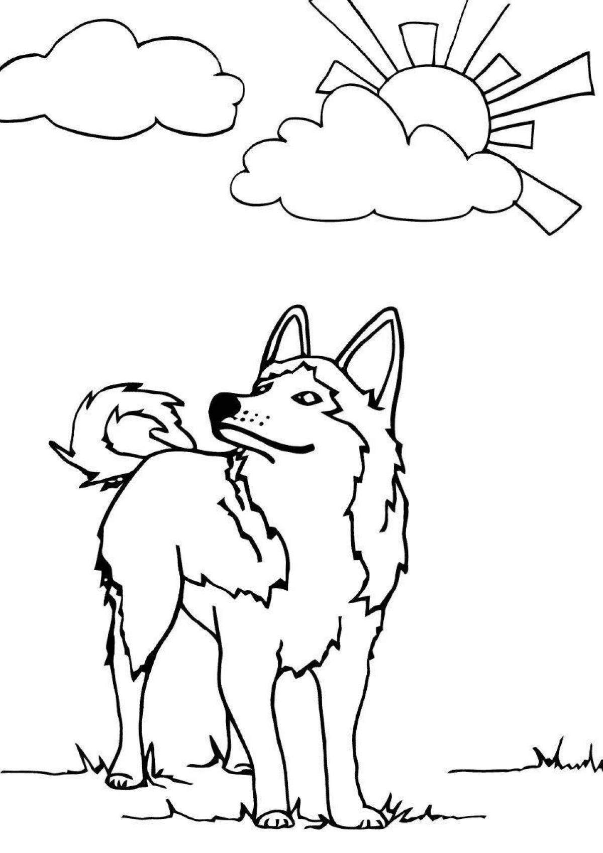 Intriguing husky coloring book for kids