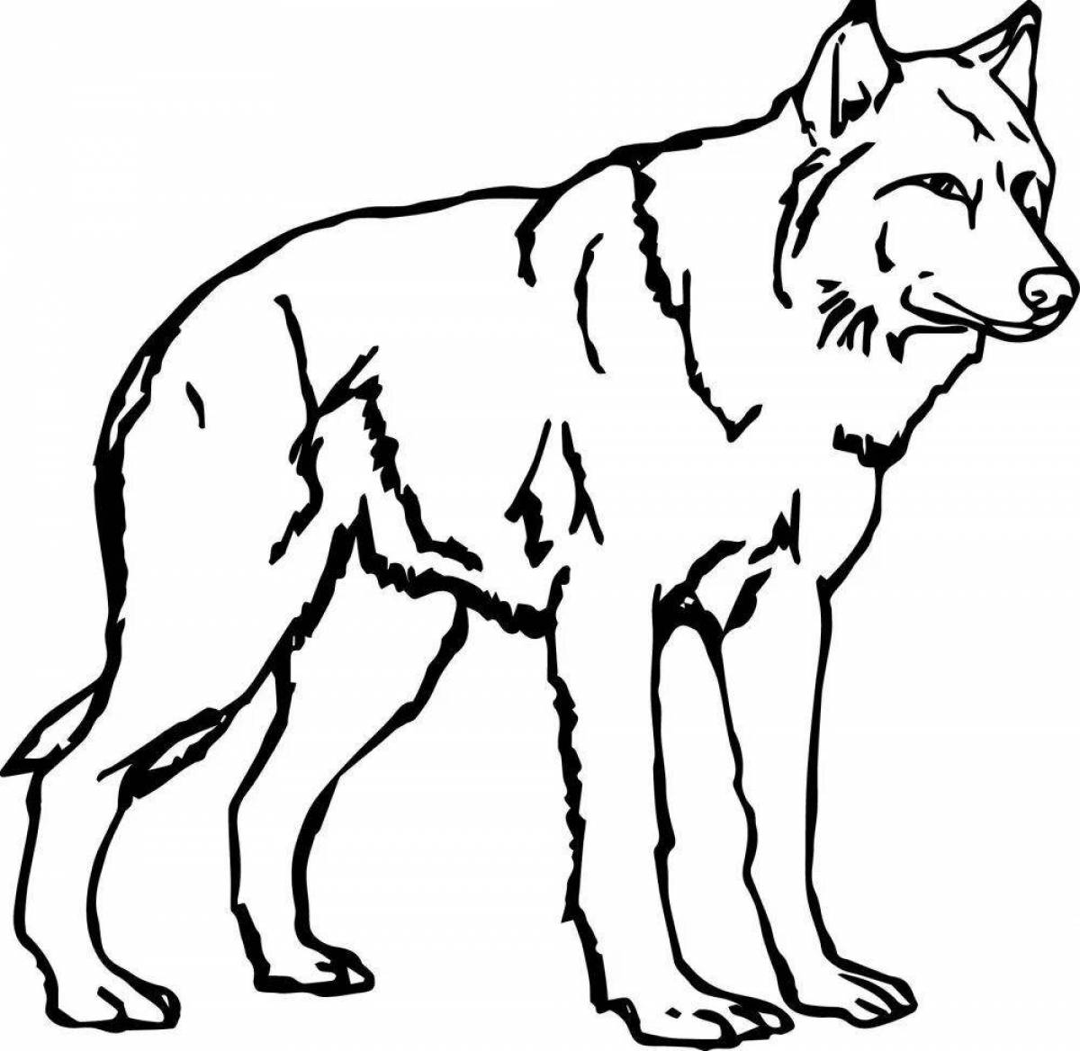 Large wolf coloring book for kids