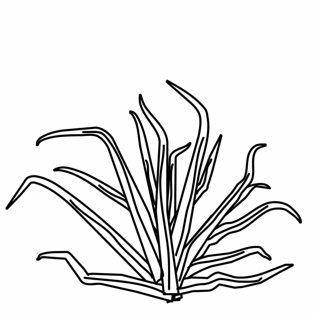 Playful weed coloring page for kids