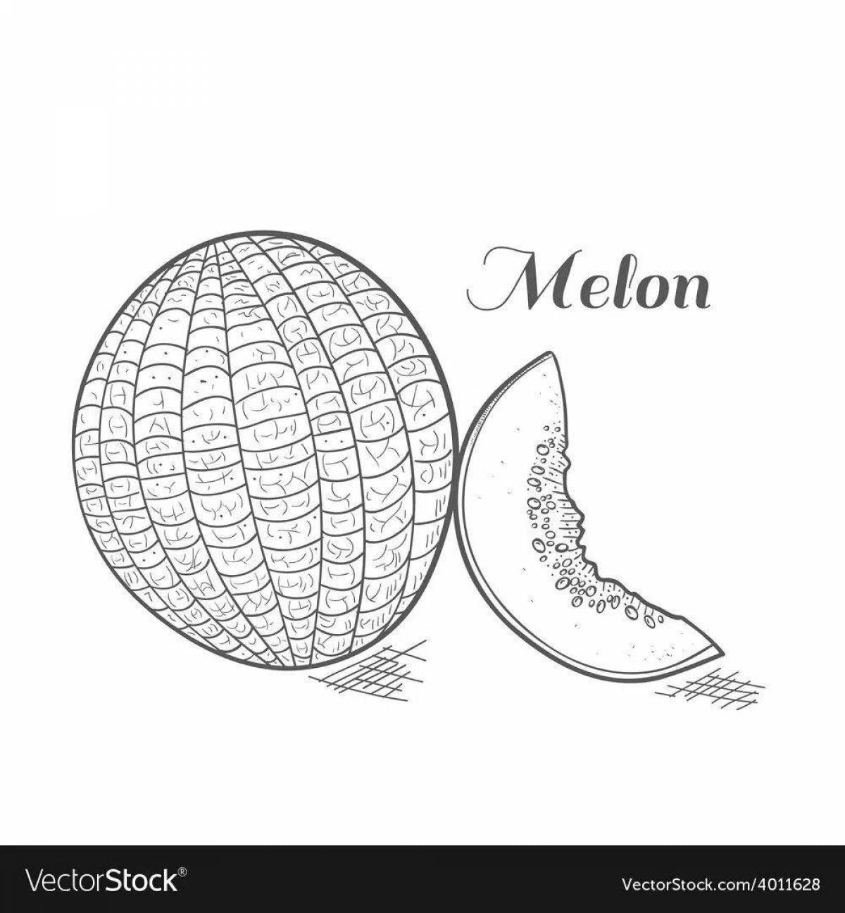 Innovative melon coloring book for kids