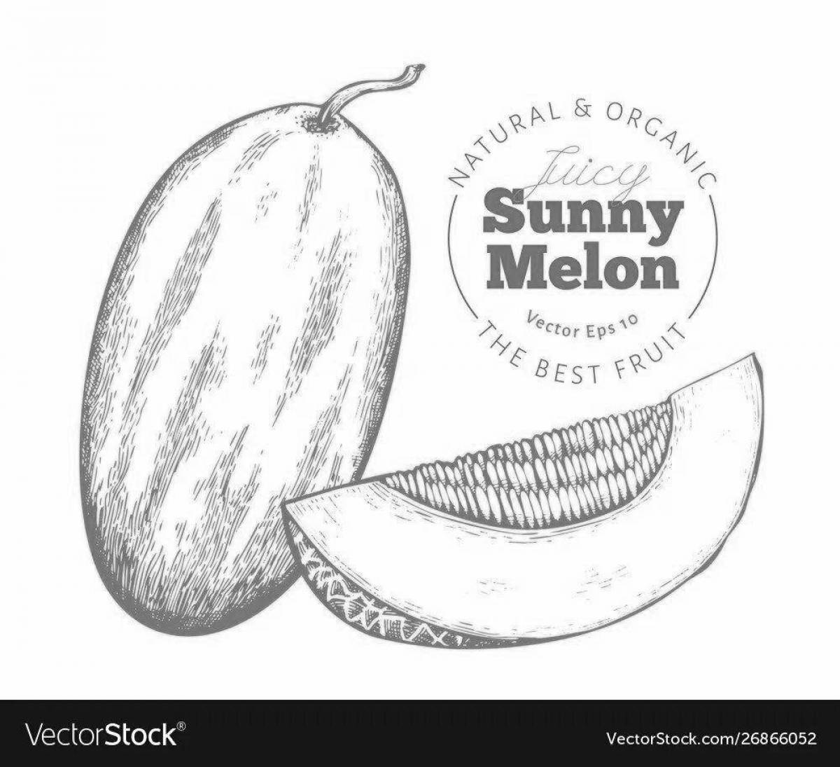 Striking melon coloring for kids
