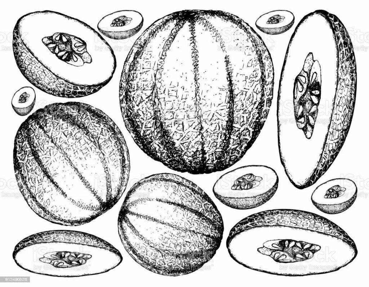 Amazing melon coloring pages for kids