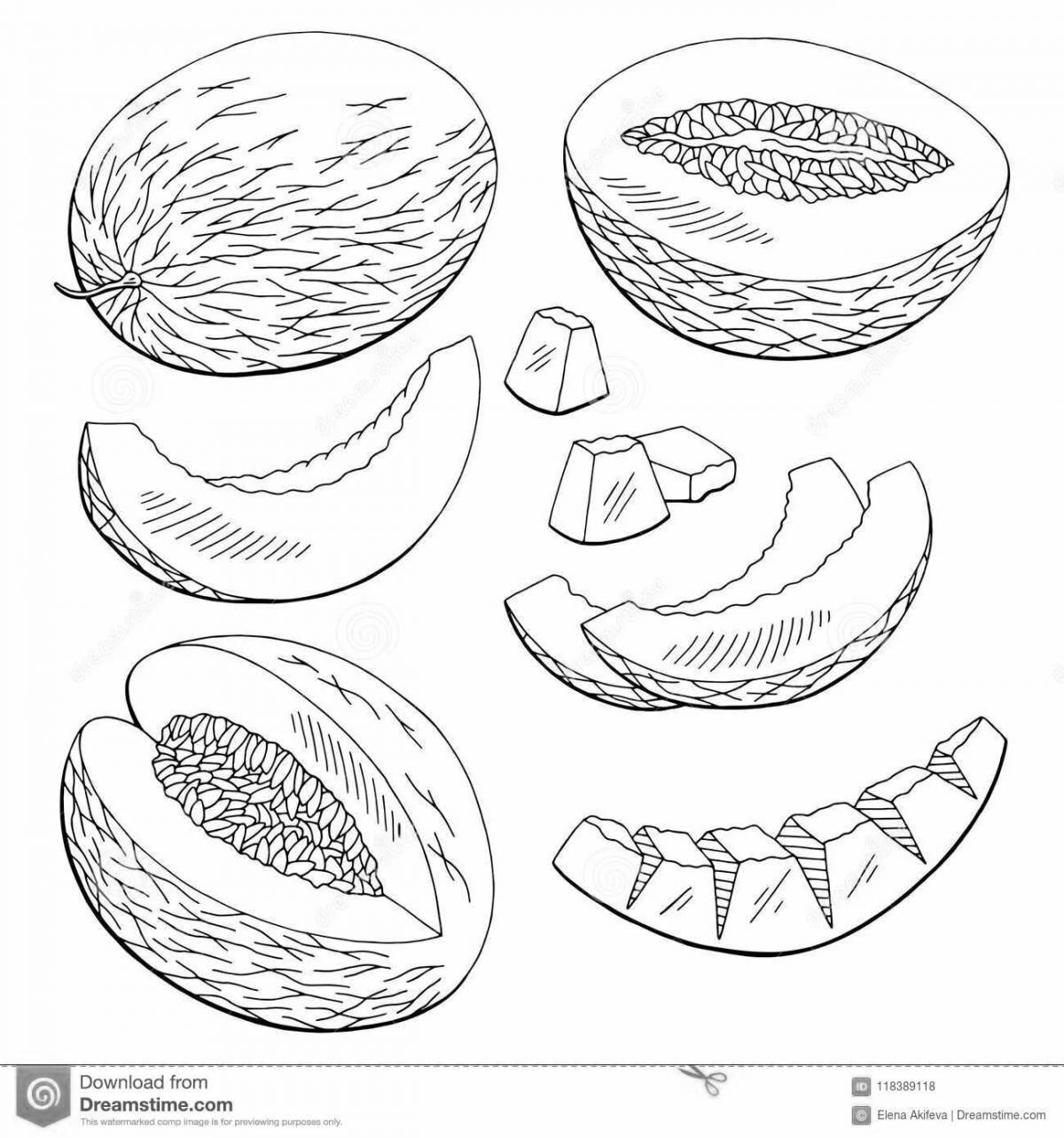 Cute melon coloring book for kids
